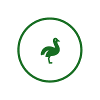 AI Trading Assistant